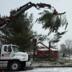 Selecting Trees