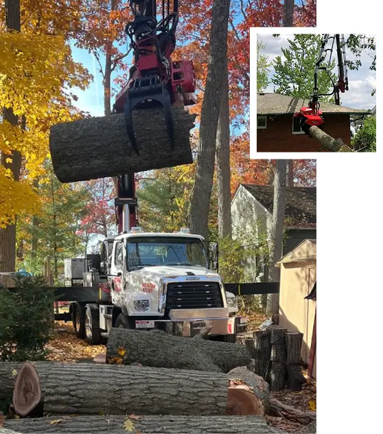 About Holtslander And Sons Tree Service
