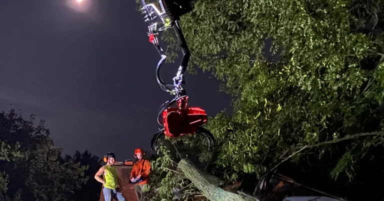 Holtslander tree removal crew safely removing a large tree from a lakefront property in Fenton, Michigan