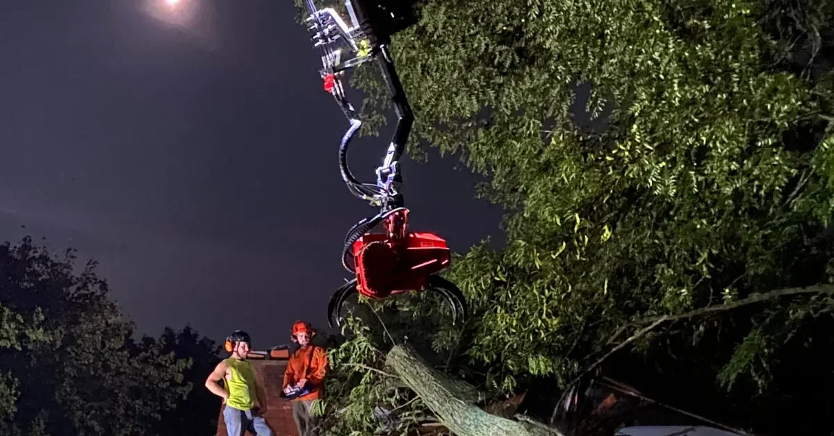 Holtslander tree removal crew safely removing a large tree from a lakefront property in Fenton, Michigan