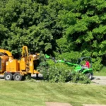Tree care crew preparing a tree for winter in Genesee County