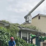 Professional arborists assessing a storm-damaged tree leaning against a home in Fenton, Michigan.