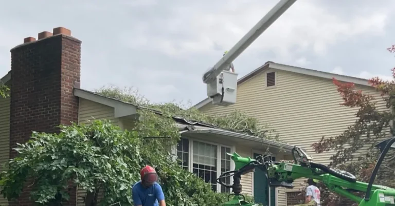 Professional arborists assessing a storm-damaged tree leaning against a home in Fenton, Michigan.