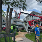 Professional tree service crew from Holtslander and Sons preparing equipment for residential tree work in Fenton Michigan