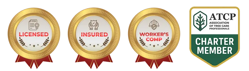 Licensed and Insured