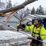 Arborist assessing an ice-damaged branch in Michigan