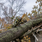 Large tree fallen onto a residential house after a storm in Michigan